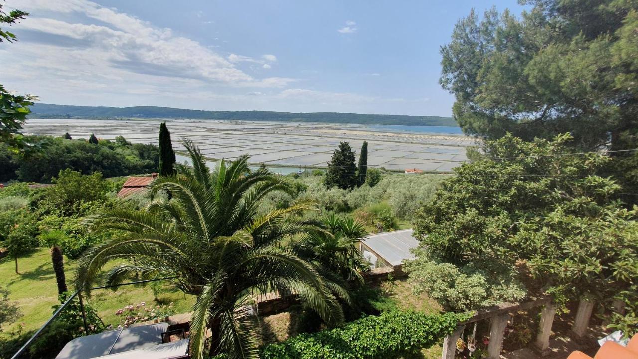 Apartment Laurus Portoroz Exterior photo