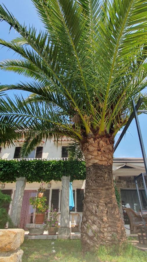 Apartment Laurus Portoroz Exterior photo