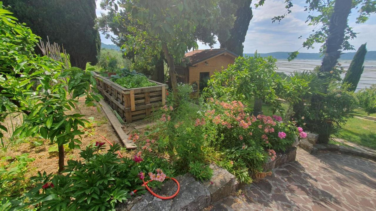 Apartment Laurus Portoroz Exterior photo