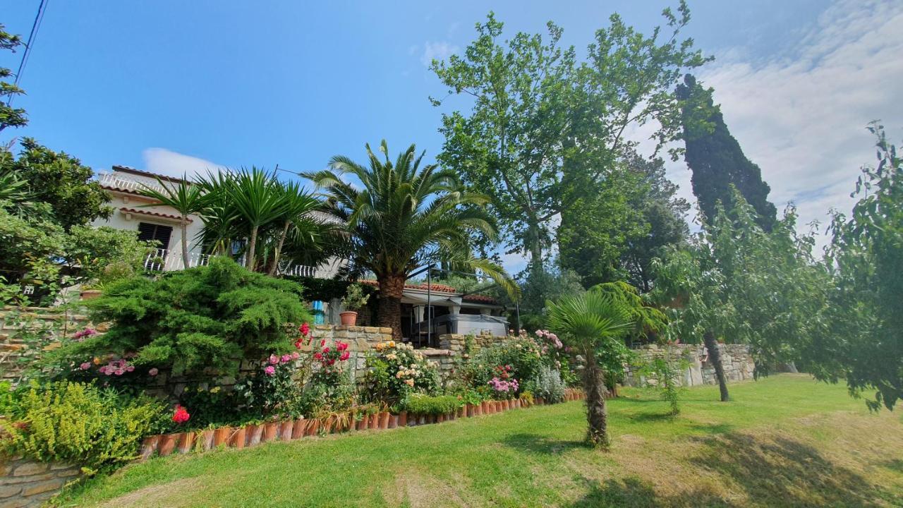 Apartment Laurus Portoroz Exterior photo