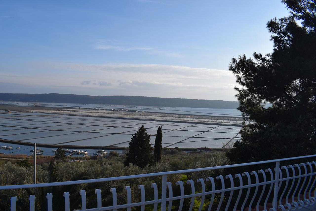 Apartment Laurus Portoroz Exterior photo
